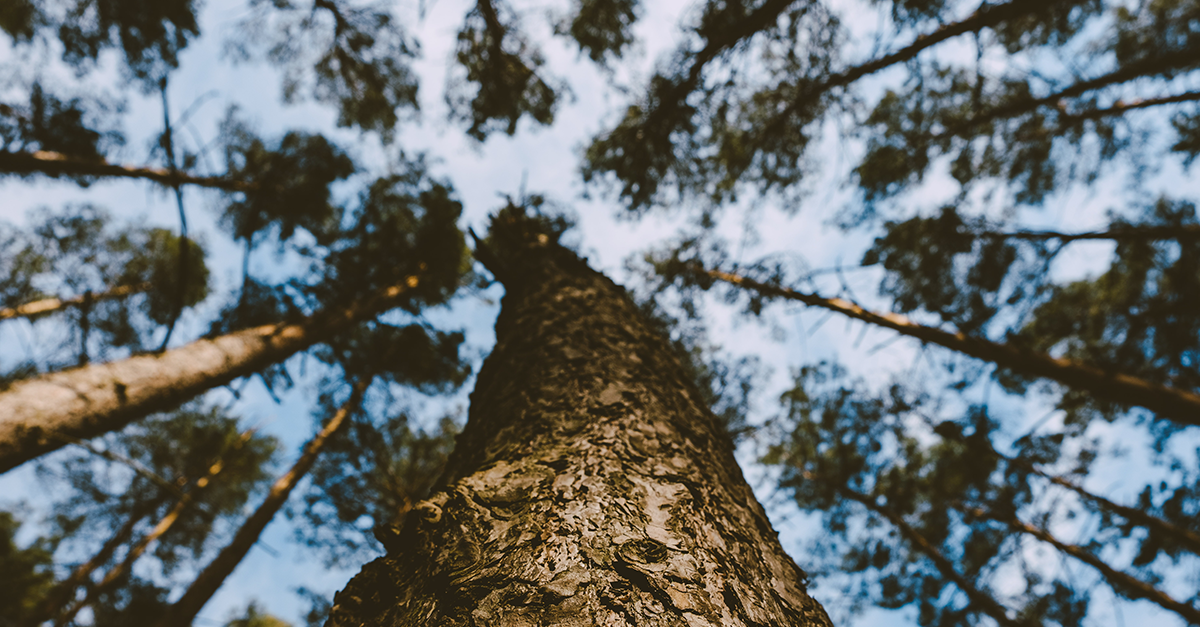 A guide to building successful partnerships