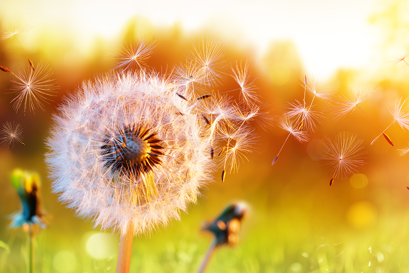 Three reasons to employ an agency to run your affiliate marketing