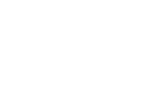 ReebokLogo.png