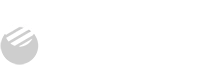 2025 Partnership of the Year​
